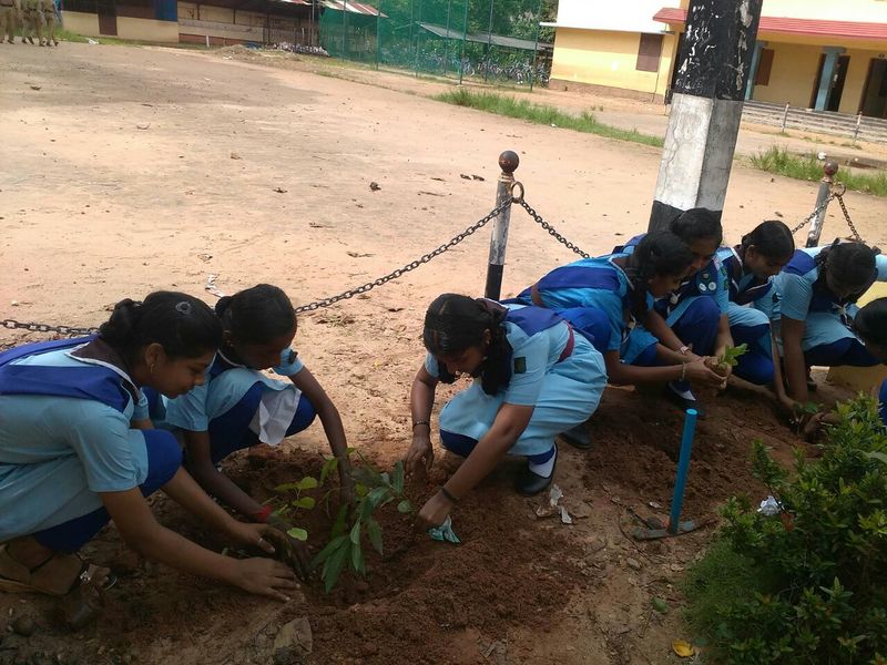 പ്രമാണം:41068 jrc3.jpg