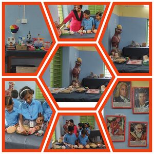 43339-My Science lab.jpg