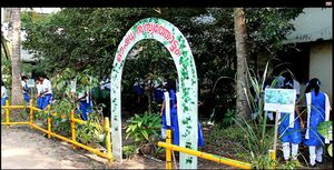 Medicinal 35052 2.jpg