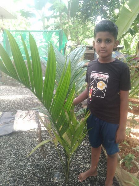 പ്രമാണം:WITH MY TREE 7.jpg