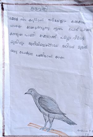 11472-KGD-KUNJ-ANSHIKA PR.jpg