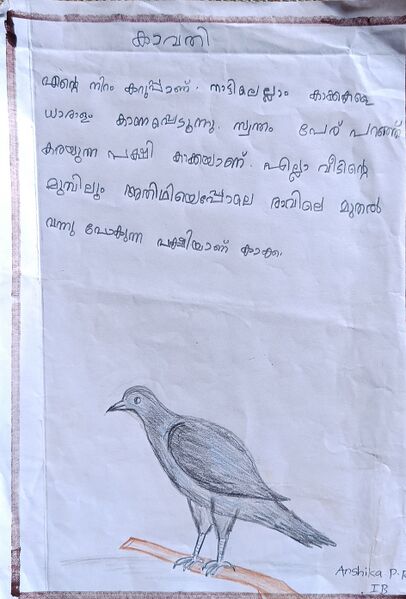 പ്രമാണം:11472-KGD-KUNJ-ANSHIKA PR.jpg