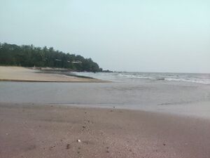 13382 Thayyil Beach.jpeg