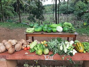 15028 Food Day .jpeg