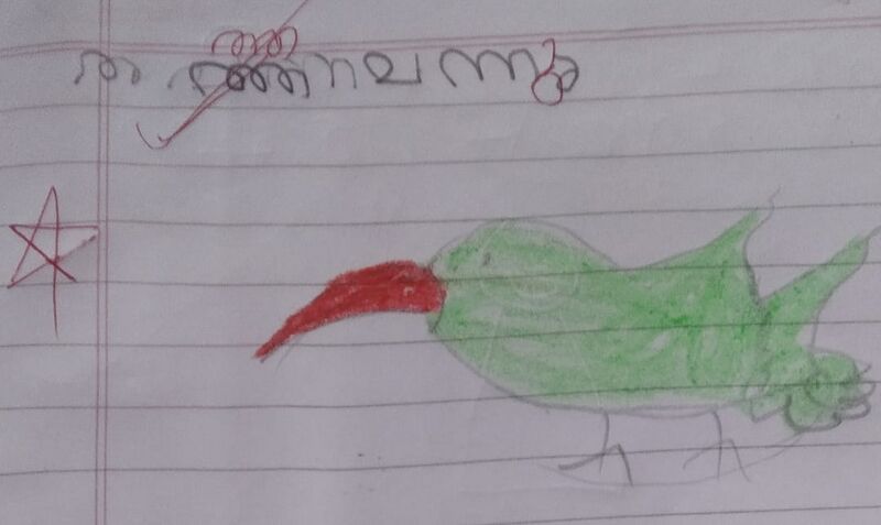 പ്രമാണം:18753-MLP-KUNJ-MUHAMMED FARHAN T.jpeg