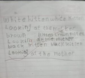 21408-PKD-KUNJ-ANUJITH IA.jpg