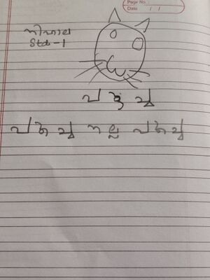 26091-EKM-KUNJ-NIHALA PARVEEN T S.jpg