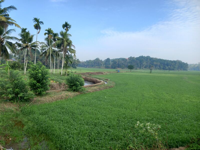 പ്രമാണം:28521 Field.jpg