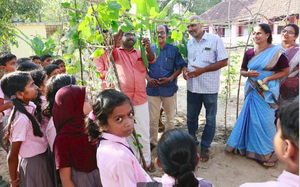 പച്ചക്കറി കൃഷി വിളവെടുപ്പ്