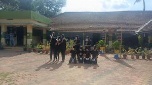 36073population day.jpg