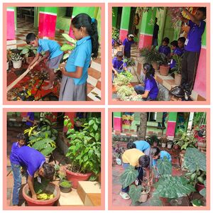 43339-garden renovation.jpg