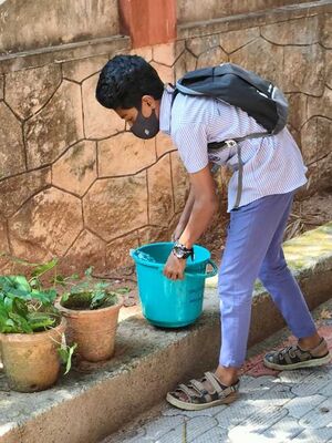 Vegetable garden-nss.jpg