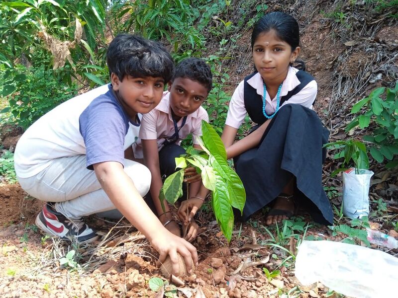 പ്രമാണം:11466 403.jpg