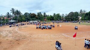 15005 Sportsday.jpg