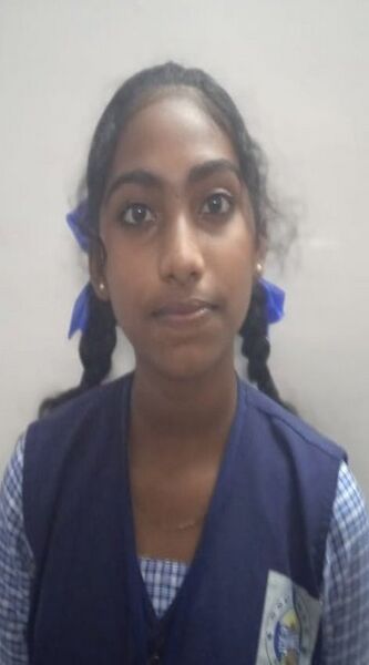 പ്രമാണം:22076 EbinaBijoy LK 25.jpeg