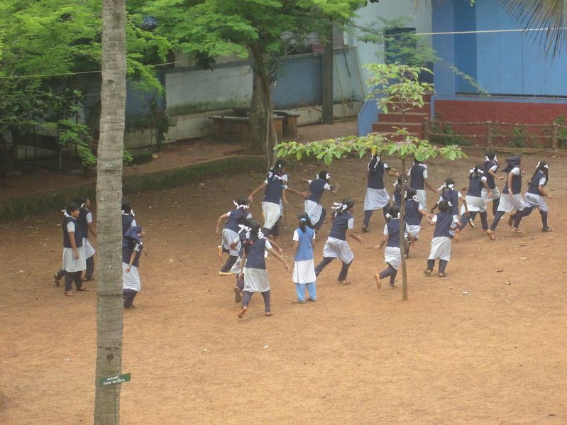 പ്രമാണം:24071 YO8.JPG