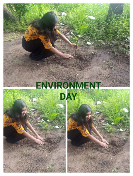 പ്രമാണം:25071 evn day2.jpg