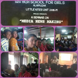 36048 littlekitesSDV.jpeg