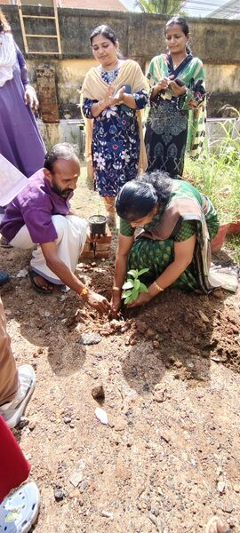 പ്രമാണം:43055 environment day 2025.jpg