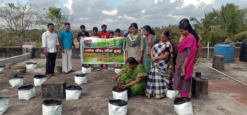 പ്രമാണം:43240 seed.jpg