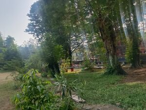 Model schoolpark.jpg