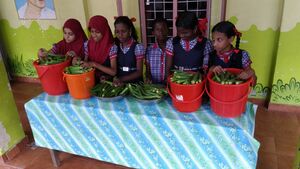 P 20161027 103453.jpg