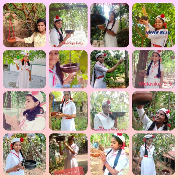 പ്രമാണം:Red cross -.jpg