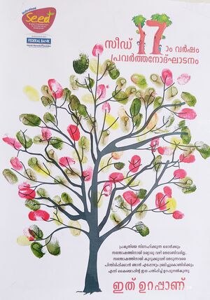 12045 KGD SEED6.jpeg