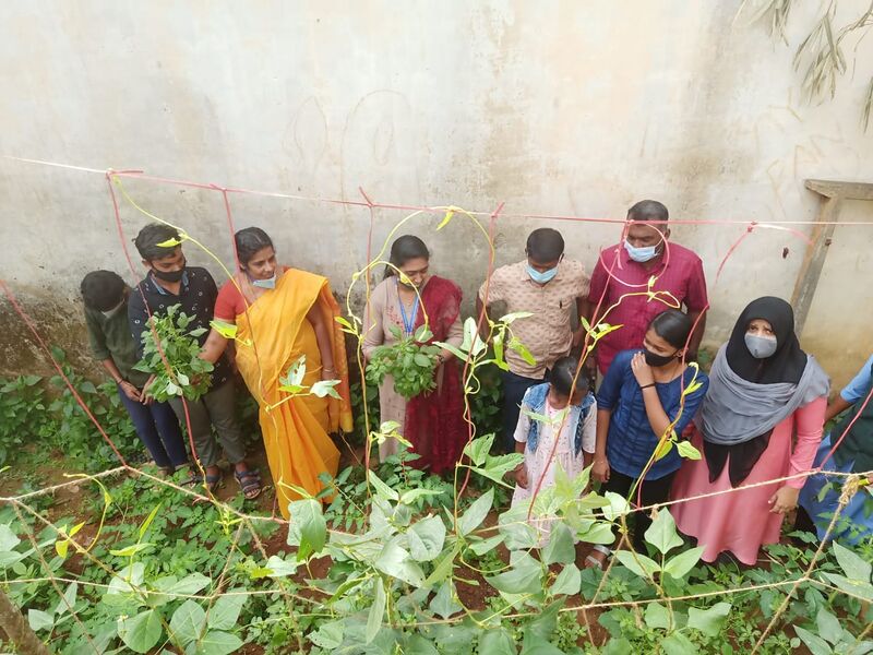 പ്രമാണം:15019 Veg Garden 4.jpeg