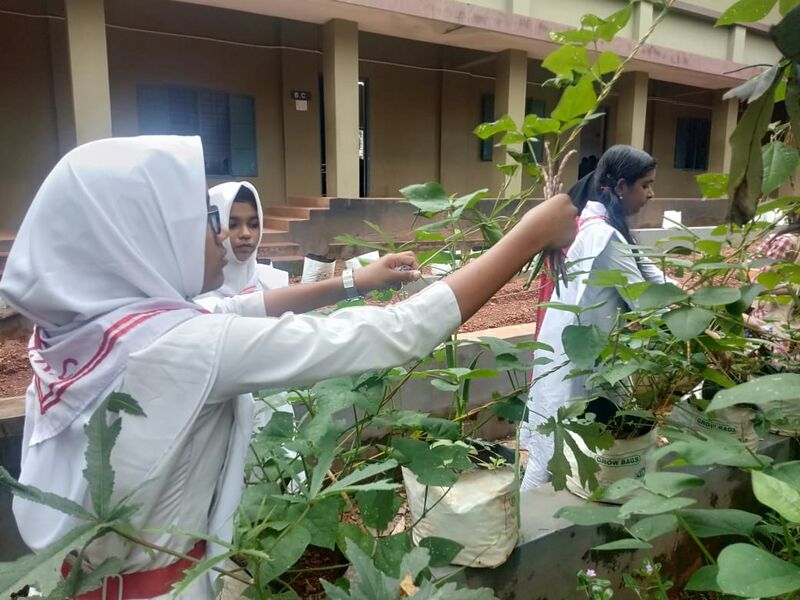 പ്രമാണം:19068 JRC 1.jpeg