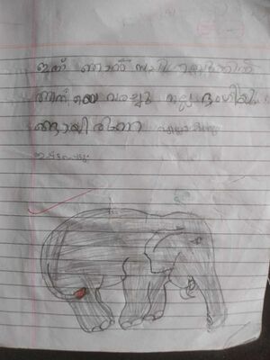 19505-MLP-KUNJ-SANA FATHIMA.jpeg