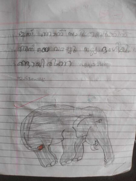 പ്രമാണം:19505-MLP-KUNJ-SANA FATHIMA.jpeg