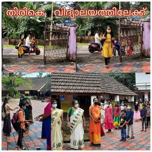 20255-vkmups venasseri .jpeg