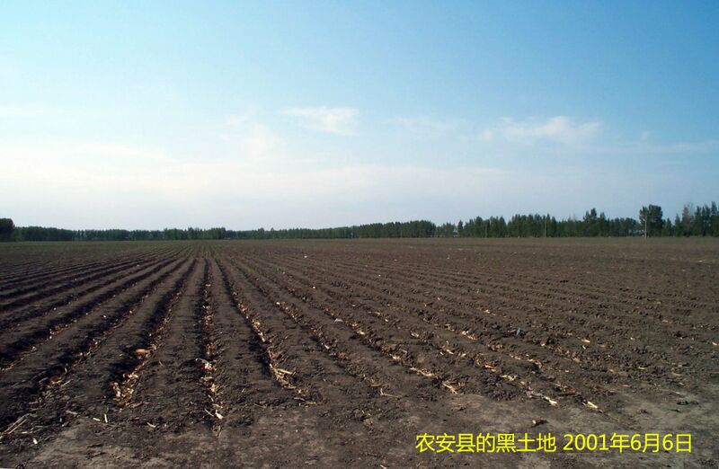 പ്രമാണം:21308 Black Soil.jpg