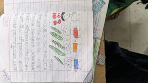 26348diary wrting-.jpg