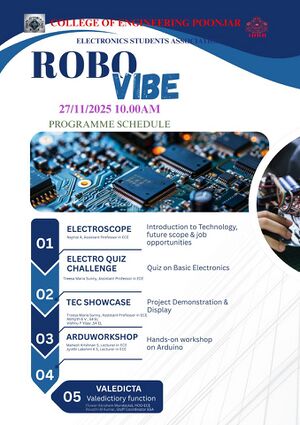 32501 ROBO Vibe.jpg
