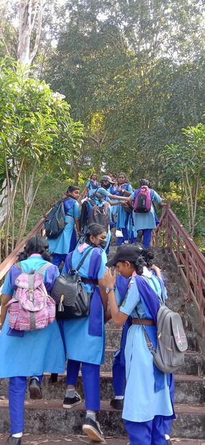 44018 sg field trip 3.jpg