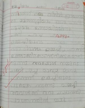 46410-ALP-KUNJ-SERAH VARGHESE.jpg