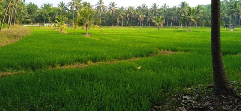 പ്രമാണം:48416 Schoolgramam.jpg