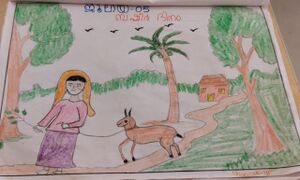 48520-MLP-KUNJ-SHANZA K.jpeg