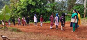 BS21 KKD 47018 105.jpeg