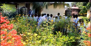 Butterfly 35052 2.jpg