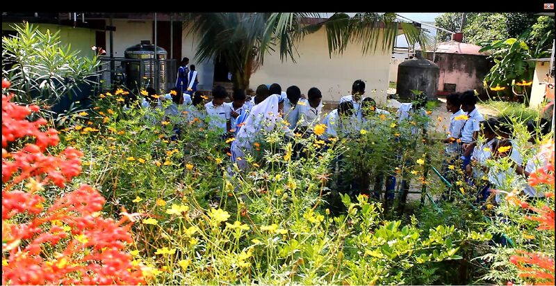 പ്രമാണം:Butterfly 35052 2.jpg