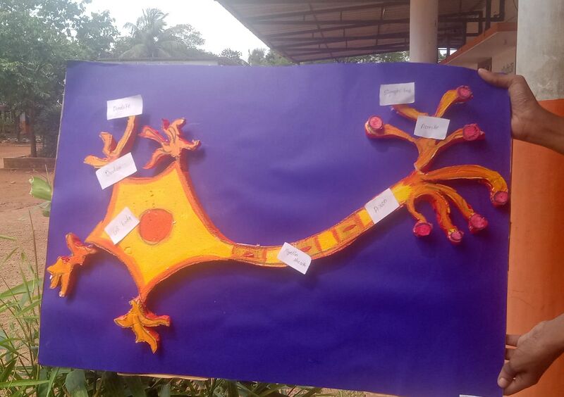 പ്രമാണം:NEURON 5.jpg