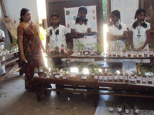 Scfair 35052 (3).JPG