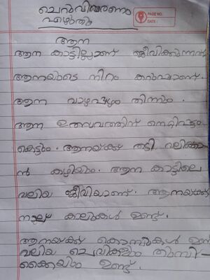 19833-MLP-KUNJ-1A-Anvitha. T.jpg