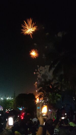 21027 nemmara vela vedikkettu.jpg