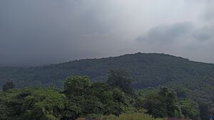 23038 entegramam kodaserimala.jpg