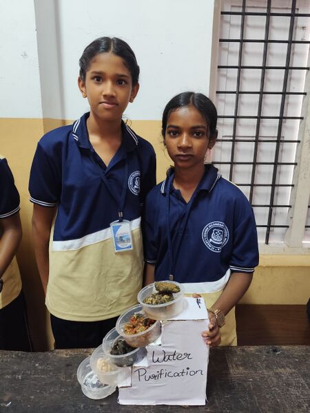 പ്രമാണം:25044 school sasthrolsavam 7.jpg