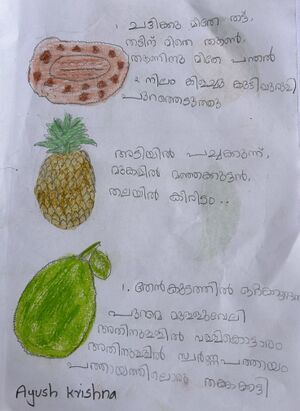 26069-EKM-KUNJ-AYUSH KRISHNA.jpg